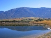 IMG_1060.jpg