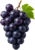 Black Grape