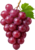 Red Grape