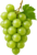 White Grape